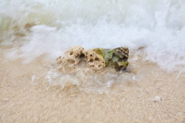 Bulanık arka plan yumuşak dalgalar ve plaj dalgalar ile kum plajındaki mercan.