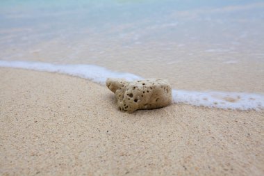 Mercan yumuşak dalgalar ve plaj dalgalar ile kum plajındaki arka plan.