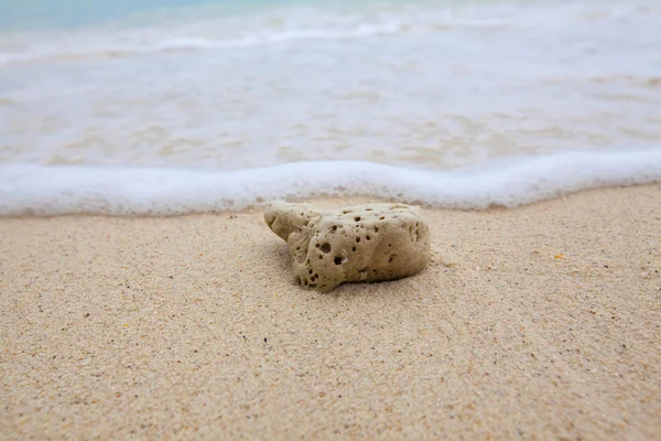 Fundo abstrato de coral na praia de areia com ondas suaves e ondas de praia . — Fotografia de Stock