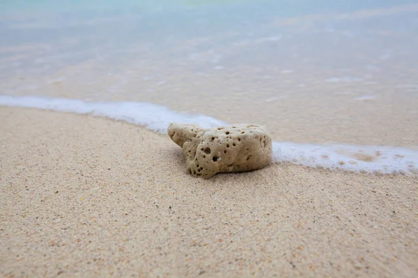 Fondo abstracto de coral en la playa de arena con olas suaves y olas de playa . — Foto de Stock