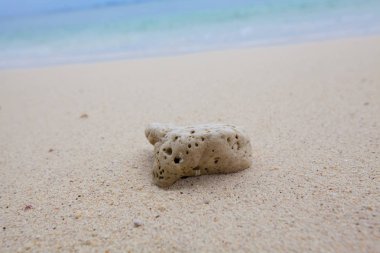 Mercan yumuşak dalgalar ve plaj dalgalar ile kum plajındaki arka plan.