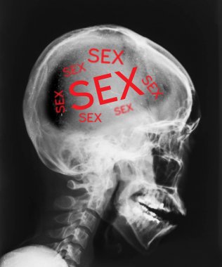 X-ray of head isolated with word sex inside. clipart