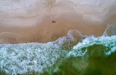 Aerial view of waves crashing on the beach in Perdido Key beach, Florida  clipart