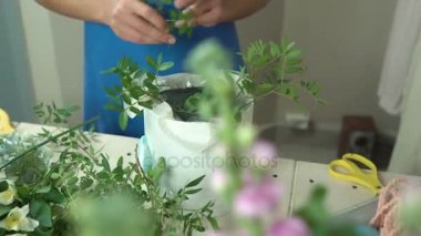 Çiçekçi bir şapka kutusunda kompozisyon oluşturur, fıstık dal bir vaha yakın çekim 4 k ekler.