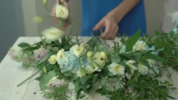 Meisje bloemist sorteert en prunks bloem stengels close-up 4k. — Stockvideo