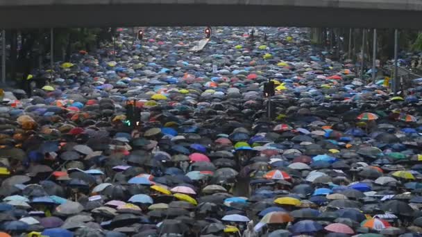 Hong Kong, China - agosto 2019: Personas con paraguas andan por la calle de Hong Kong con tiempo lluvioso . — Vídeo de stock