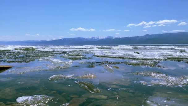 Eisstücke, die an einem sonnigen Frühlingstag im Wasser des Baikalsees treiben — Stockvideo