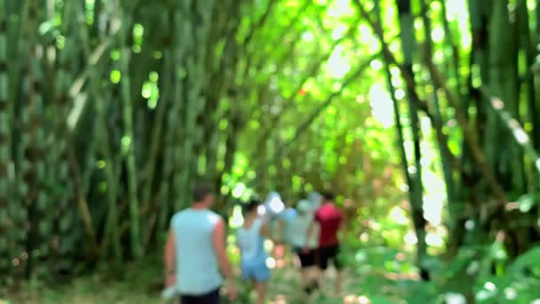 Homályos kilátás az emberek utazók séta az esőerdőben, miközben túrázás Thaiföldön. — Stock videók