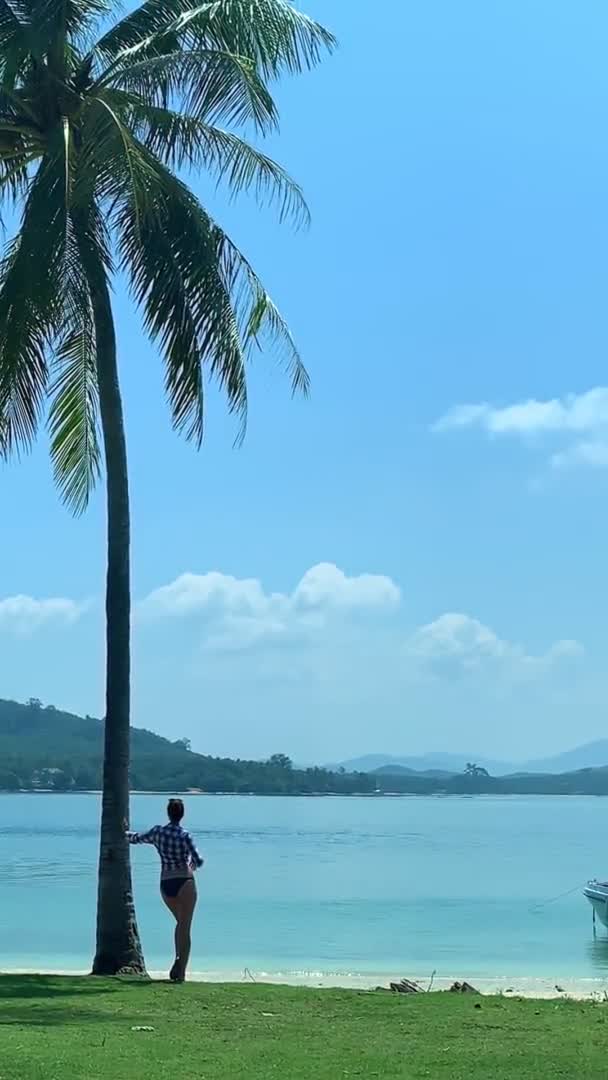 Vista vertical trasera de la mujer apoyada en la palmera. hembra descansando en resort en isla tropical. concepto de viaje — Vídeo de stock