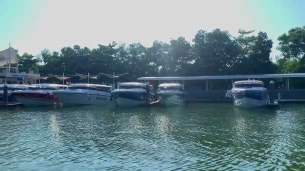 Phuket, Tajlandia - styczeń 2020: widok na morze nowoczesnych łodzi motorowych żaglowych, jachtów w porcie morskim. port na wybrzeżu lasu — Wideo stockowe