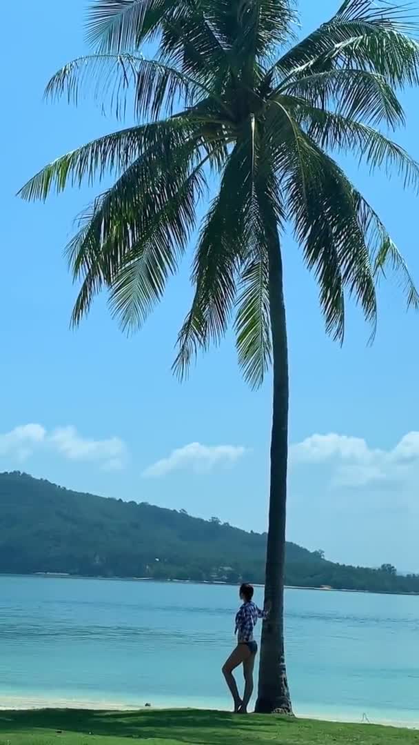 Вертикальный вид сзади подходит женщине, стоящей под пальмовым деревом и позирующей для камеры. концептуальный райский курорт. море — стоковое видео