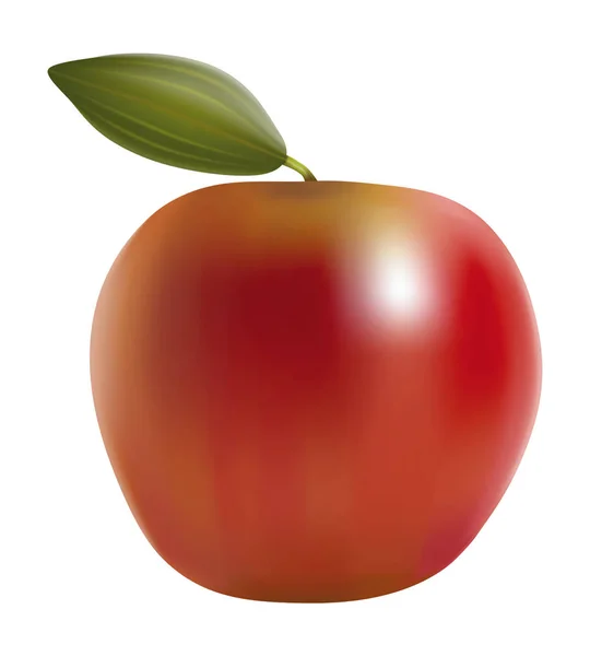 Manzanas rojas con licencia verde. Vector . — Vector de stock