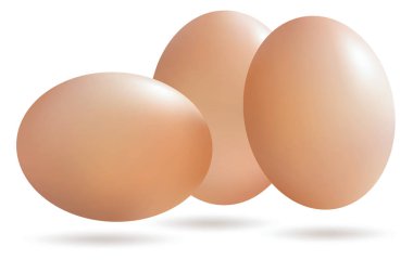 Vektör gerçekçi yumurta üzerinde beyaz backgro izole alt gölge ile