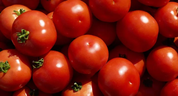 Fondo de tomates rojos. Grupo de los tomates . —  Fotos de Stock