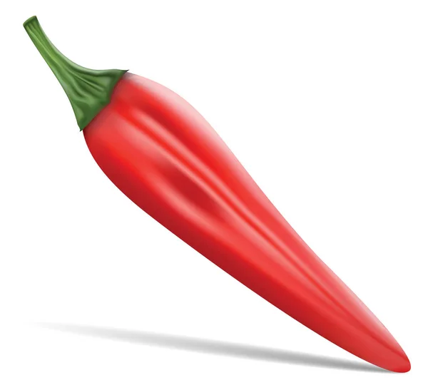 Czerwony gorący naturalny pieprz chili pod realistyczny obraz z cienia vec — Wektor stockowy