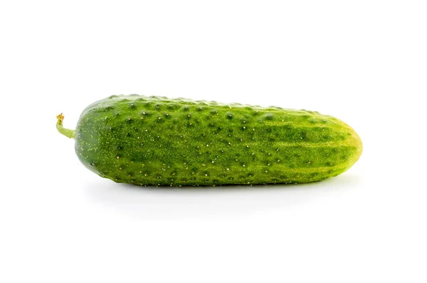 Fresh cucumber  isolated on white background Stock Image