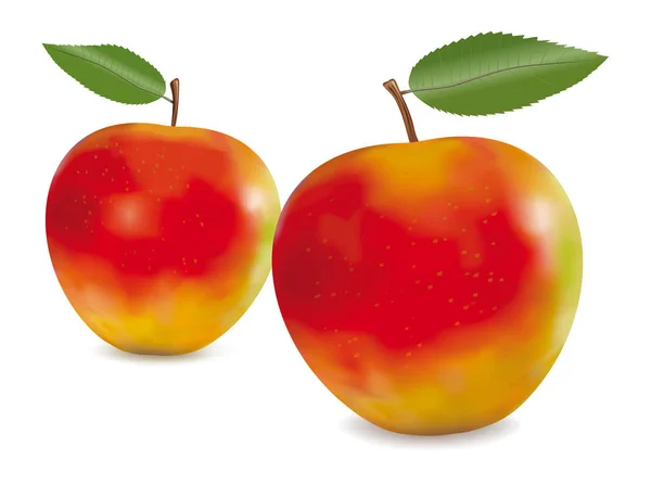 Rode appels met groene bladeren — Stockvector