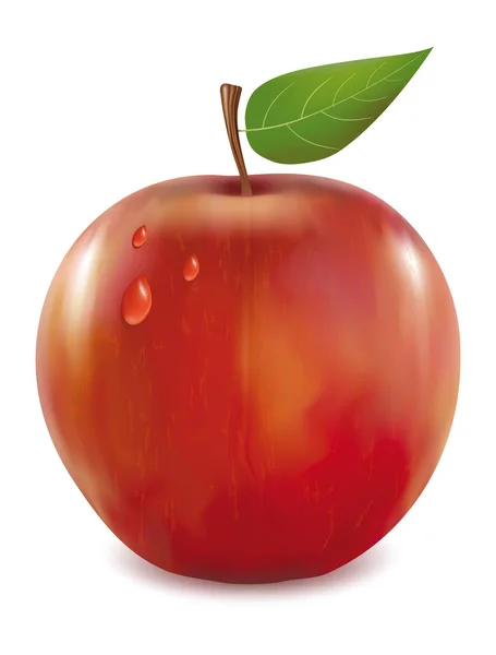 Червоні яблука з зелене листя і крапель — стоковий вектор