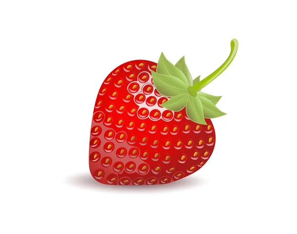 Φράουλα απομονωμένη σε λευκό φόντο. Διαδρομή αποκοπής — Διανυσματικό Αρχείο