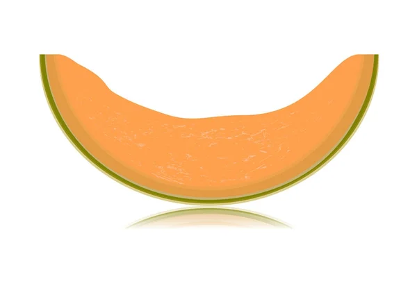 Melon tranché isolé sur fond blanc — Image vectorielle