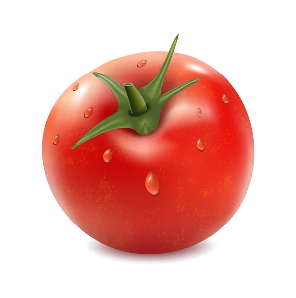 흰 배경에 고립 된 토마토 — 스톡 벡터