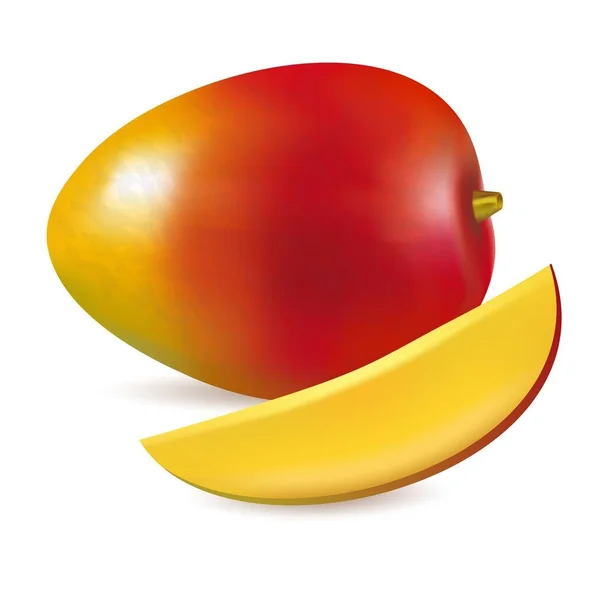 Vectorillustratie van rijpe verse mango met segment — Stockvector