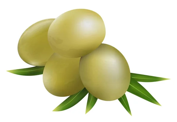 在白色背景上的橄榄和橄榄叶子 — 图库矢量图片