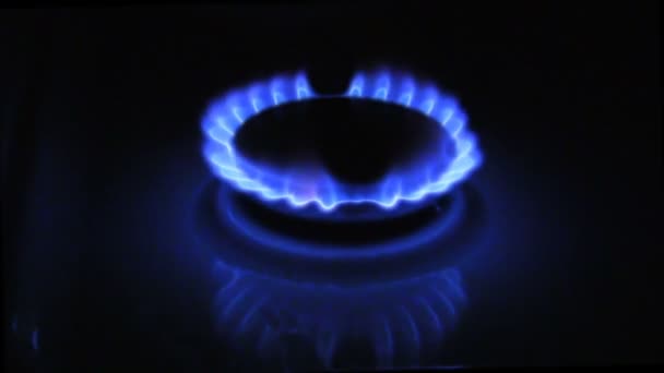 Aparición Una Llama Azul Gas Estufa Gas Sobre Fondo Negro — Vídeos de Stock