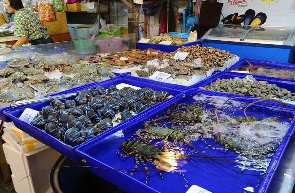 Ellentétes a nyers tengeri ételek, a Thai piacon — Stock Fotó