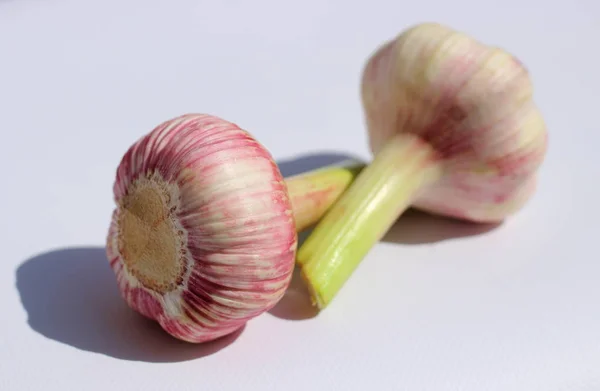 Isolato Due Giovani Bulbi Viola Aglio Fresco Crudo Sfondo Bianco — Foto Stock