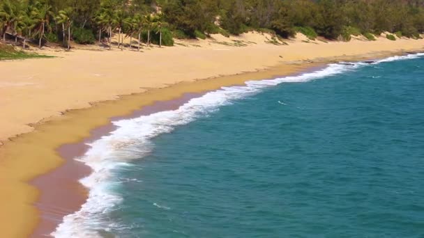 Τυρκουάζ Κύματα Συντρίβονται Μια Ερημική Τροπική Παραλία Ένα Τροπικό Νησί — Αρχείο Βίντεο