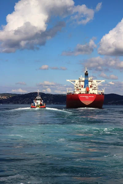 Istanbul Türkei Oktober 2019 Prächtige Meereslandschaft Mit Frachtschiff Tanker Und — Stockfoto