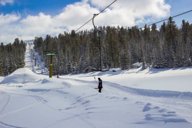 Tanınmayan kayakçılar ve snowboardcular, güneşli bir günde, kar ve kozalaklı ormanın arasındaki kayak yamacında yokuş yukarı çıkıyorlar. Kışlık tatil beldesindeki aktif boş zamanların arka planı