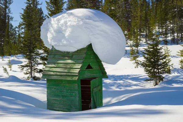 ロシア シベリア南部の西部サヤン山脈 エルマキ自然公園の素晴らしい冬の森で屋根の上に大きな雪のドリフトを持つ観光客のための緑の木造屋外トイレ — ストック写真