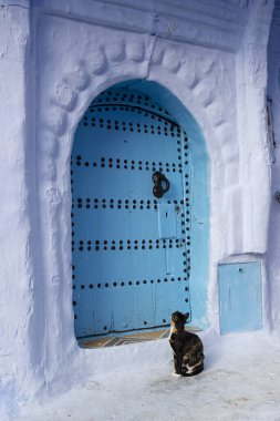 Fas 'ın Chefchaouen kasabasında kapalı mavi kapının yanında oturan kedi. Mavi şehrin Medine 'si.