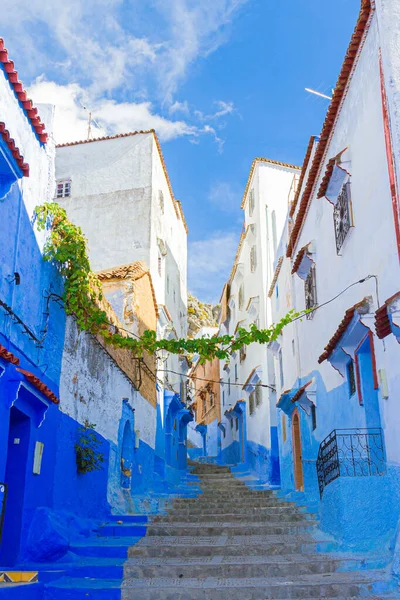 Strada Stretta Vuota Nella Medina Chefchaouen Marocco Perla Blu Tra — Foto Stock