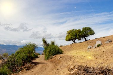 Cansız kayalık yamaçta yeşil ağaçlar. Dağlık kırsal bir yolu olan manzara