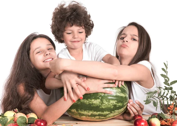 Brother and two sisters fighting over a huge watermelon, sitting at the table. White background. Close-up. — Stock Photo, Image