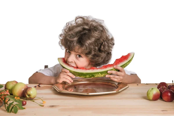 Little curly boy eating large ripe watermelon. White background. Close-up. — Stock Photo, Image