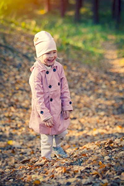 Egy Kis Boldog Lány Őszi Parkban Négyéves Vidám Lány Aki — Stock Fotó