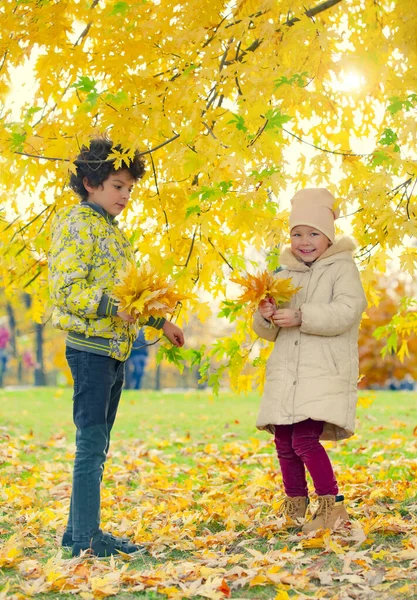 Leaf fall happy people and joy. Hello november. Autumn Clothing and color trends. Leaf fall leaves. Happy childhood