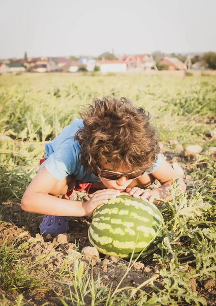 Boy Kissing Watermelon Little Boy Dark Curly Hair Summer Sunny — Stock Photo, Image