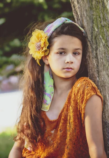 Mooi Klein Meisje Brunette Met Lang Haar Een Haarspeld Vorm — Stockfoto