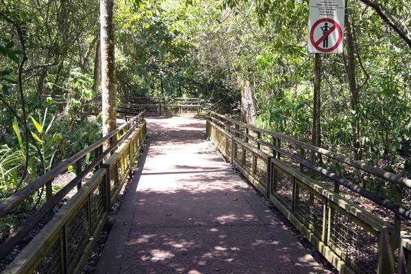 Catwalk Trail Melalui Hutan Hujan Air Terjun Iguazu Argentina — Stok Foto