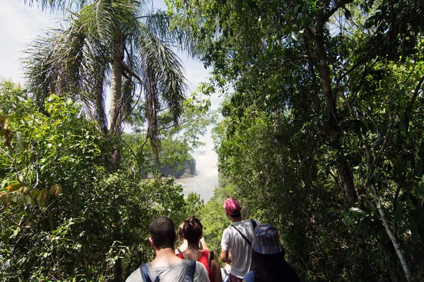 Puerto Iguazú Argentina Noviembre 2019 Gente Caminando Sendero Pasarela Través —  Fotos de Stock