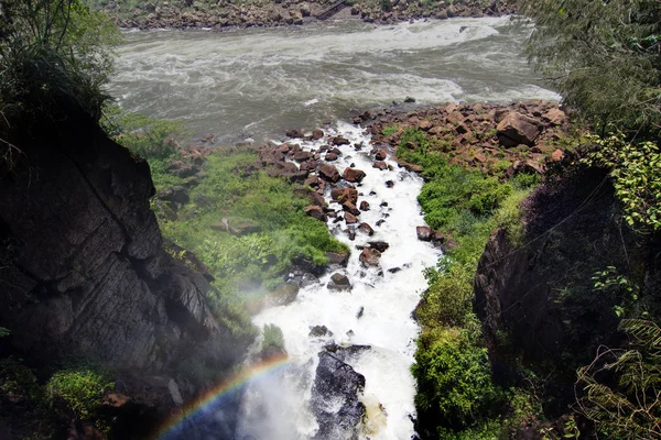 Park Narodowy Iguazu Prowincji Misiones Argentyna — Zdjęcie stockowe