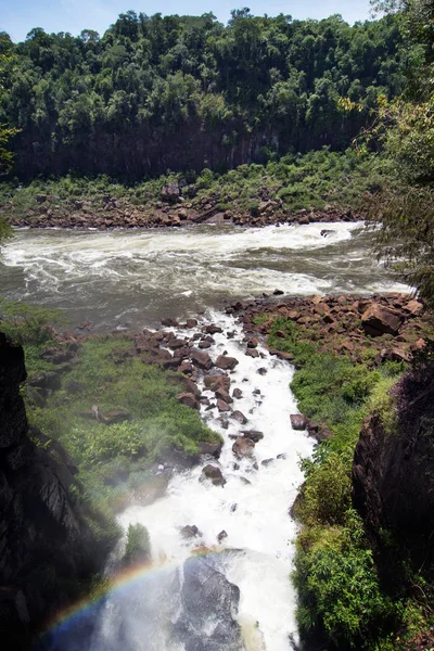 Park Narodowy Iguazu Prowincji Misiones Argentyna — Zdjęcie stockowe