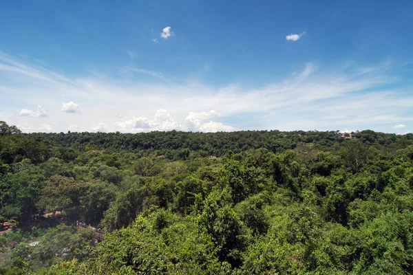 Vista Del Paisaje Selva Tropical Iguazú —  Fotos de Stock