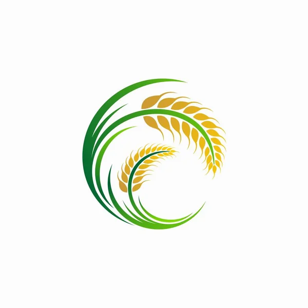 Modelo Vetor Logotipo Agricultura Trigo —  Vetores de Stock