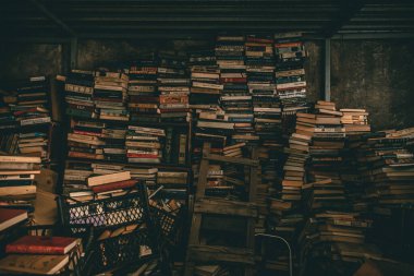 Çöplükte çok sayıda kitap var.